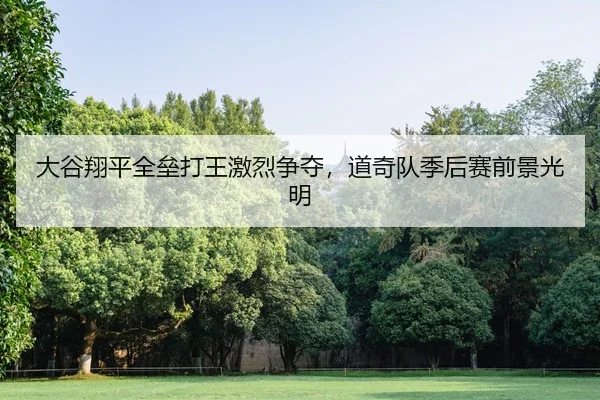 da-gu-xiang-ping-quan-lei-da-wang-ji-lie-zheng-duo-dao-qi-dui-ji-hou-sai-qian-jing-guang-ming-2-708.jpg