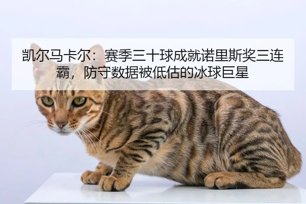 凯尔马卡尔：赛季三十球成就诺里斯奖三连霸，防守数据被低估的冰球巨星